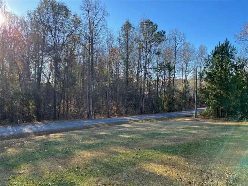  313 Horseshoe Rd, Central, SC 29630 photo 1
