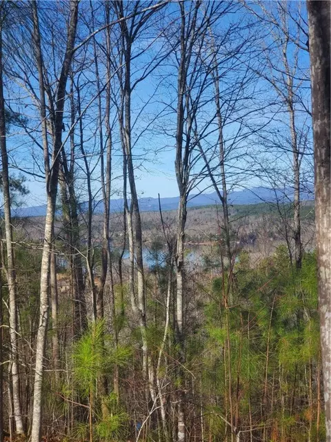 1034 Cliffs Vista Pkwy, Six Mile, SC 29682