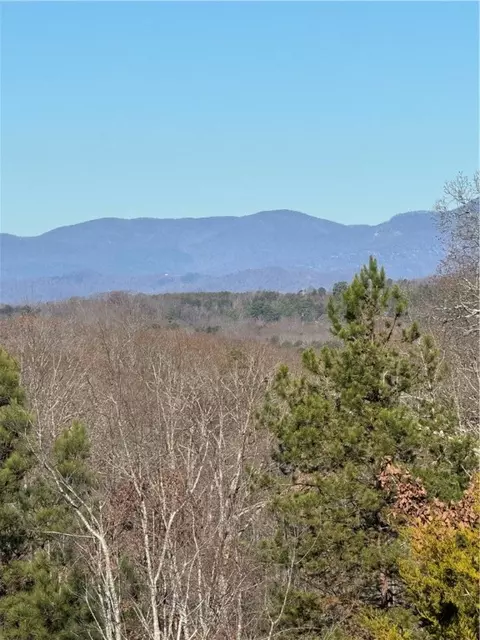 403 Mulberry Rd, Easley, SC 29640 photo 3