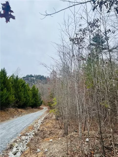 000 Big Rock Lake Rd, Pickens, SC 29671