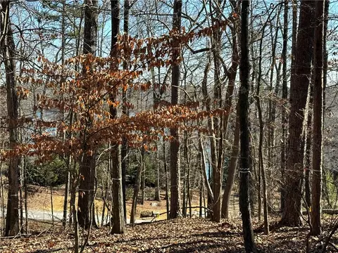 106 E Fort George Way, Sunset, SC 29685 photo 4