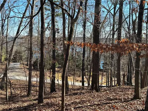 106 E Fort George Way, Sunset, SC 29685 photo 2