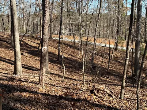 106 E Fort George Way, Sunset, SC 29685 photo 8