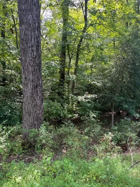 00 Sundew Dr, Westminster, SC 29693