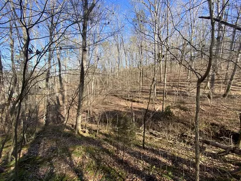 52 Cherokee Rd, Toccoa, GA 30577 photo 8