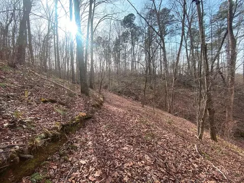 52 Cherokee Rd, Toccoa, GA 30577 photo 6