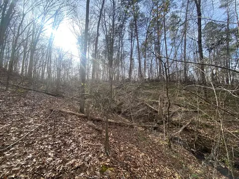52 Cherokee Rd, Toccoa, GA 30577 photo 4