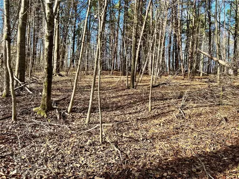 00 Settle Rd, Inman, SC 29349 photo 9