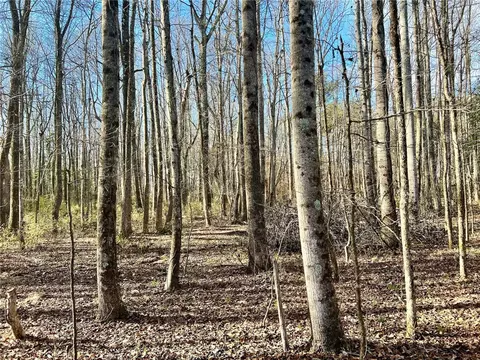 00 Settle Rd, Inman, SC 29349 photo 10