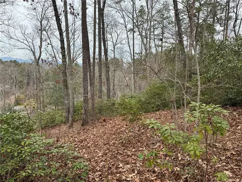 407 Soaring Eagle Way, Salem, SC 29676 photo 9