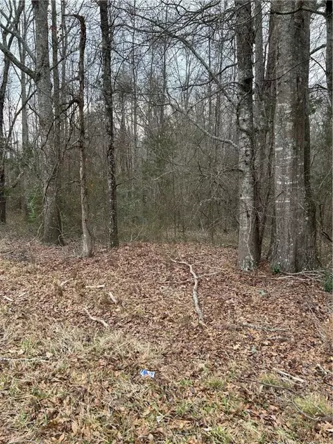 00 Corner Of Creek View And Stewart Gin Dr, Liberty, SC 29657