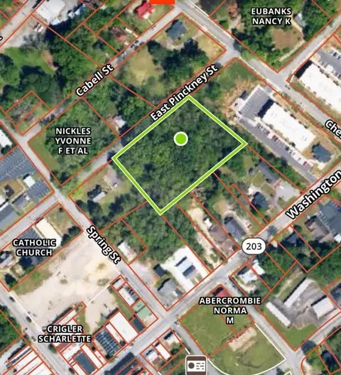 204 E Pinckney St, Abbeville, SC 29620