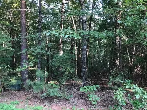 231 Bay View Lot 8 Dr, Salem, SC 29676