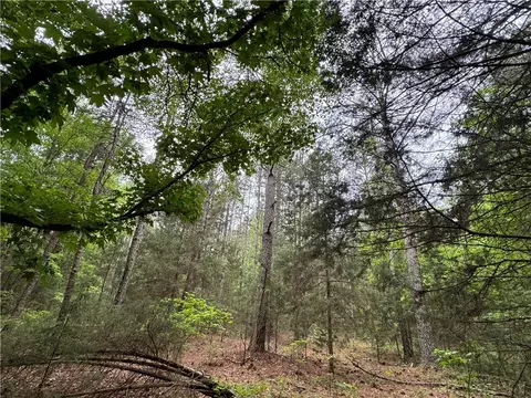 799 Fire Tower Rd, Honea Path, SC 29654 photo 25