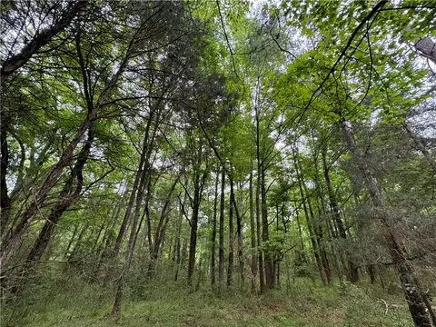 799 Fire Tower Rd, Honea Path, SC 29654 photo 24