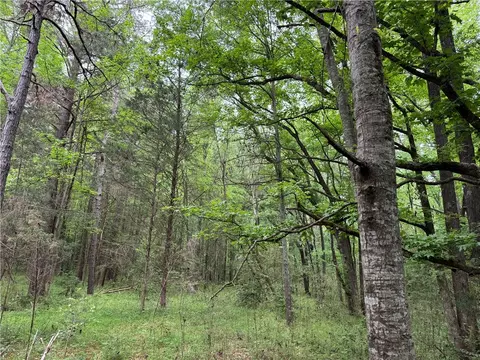 799 Fire Tower Rd, Honea Path, SC 29654 photo 26