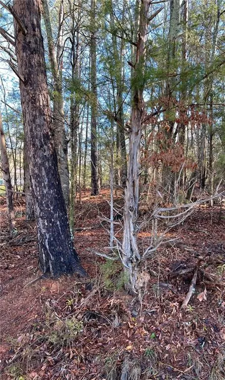 Trussell View, Anderson, SC 29621