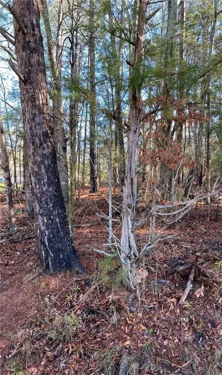 Tract 1+2 Trussell View, Anderson, SC 29621