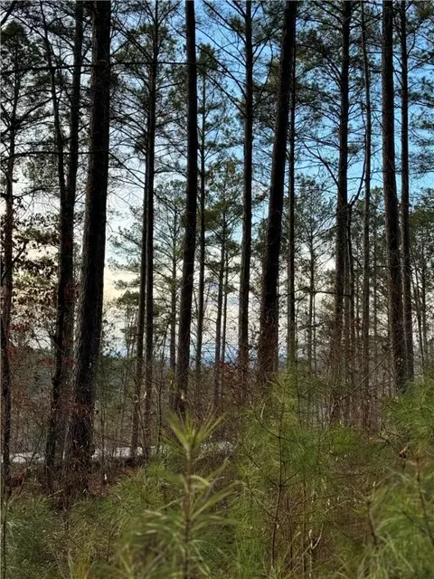 00 View West Dr, Seneca, SC 29672 photo 11