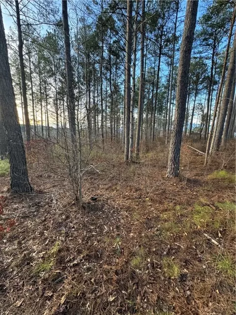 00 View West Dr, Seneca, SC 29672 photo 12