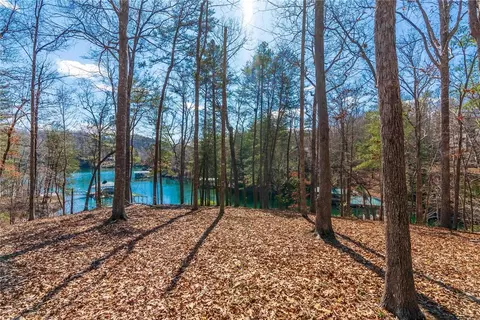 106 Sun Dew Ct, Sunset, SC 29685 photo 19