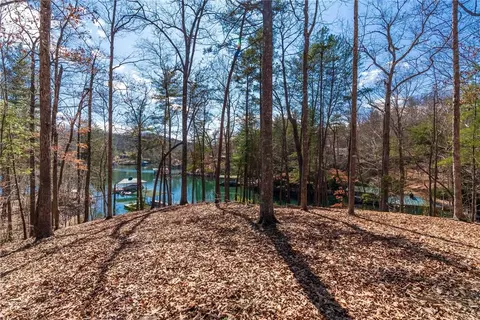 106 Sun Dew Ct, Sunset, SC 29685 photo 21