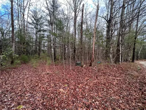 345 Metcalfe Rd, Mountain Rest, SC 29664