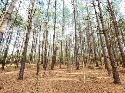 00 New Bridge Rd, Mccoll, SC 29570