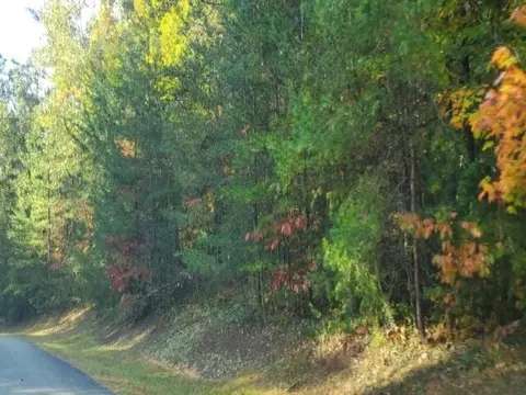 105 Sweetshrub Way, Sunset, SC 29685 photo 4