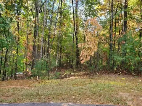 105 Sweetshrub Way, Sunset, SC 29685 photo 2