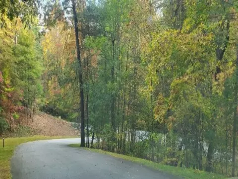 105 Sweetshrub Way, Sunset, SC 29685 photo 6