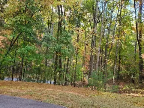 105 Sweetshrub Way, Sunset, SC 29685 photo 3