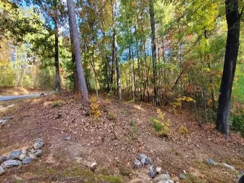 105 Sweetshrub Way, Sunset, SC 29685 photo 7