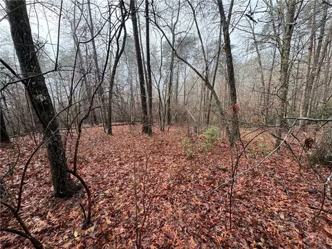 lot20 Old Shallowford Bridge Rd, Sunset, SC 29685