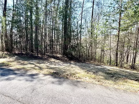 108 Junaluska Trl, Sunset, SC 29685 photo 5
