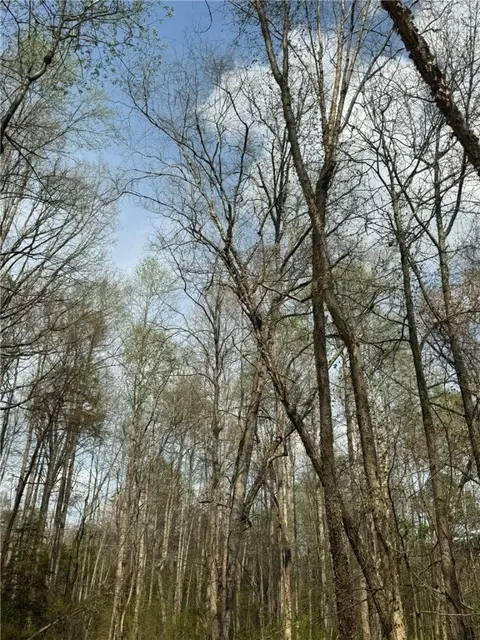 188 N N Watson Rd, Easley, SC 29642 photo 12