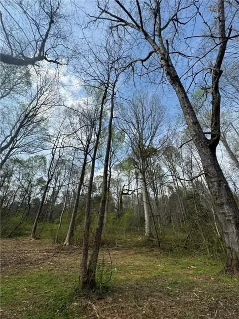 188 N N Watson Rd, Easley, SC 29642 photo 15