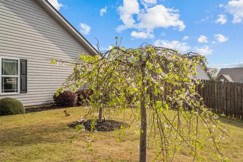 723 Cerons St, Moore, SC 29369 photo 29