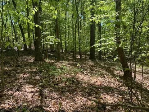0 Lawrence Ave, Fountain Inn, SC 29644