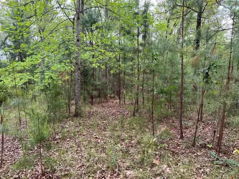 251 Spring Valley Rd, Seneca, SC 29672 photo 7
