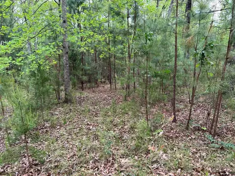 251 Spring Valley Rd, Seneca, SC 29672 photo 2