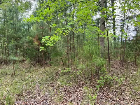 251 Spring Valley Rd, Seneca, SC 29672 photo 3