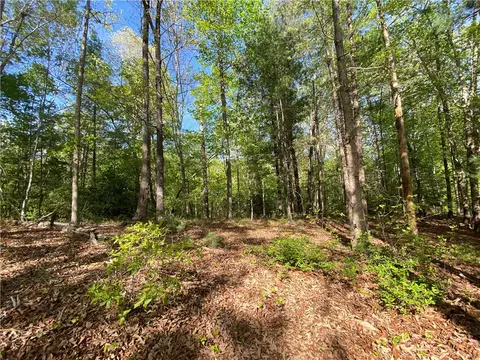 305 Wake Robin Dr, Sunset, SC 29685 photo 3