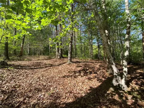 305 Wake Robin Dr, Sunset, SC 29685 photo 5