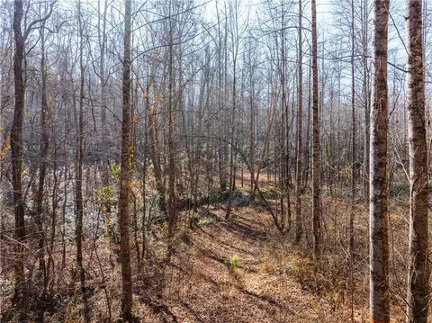 0 Howe Rd, Greer, SC 29651 photo 6
