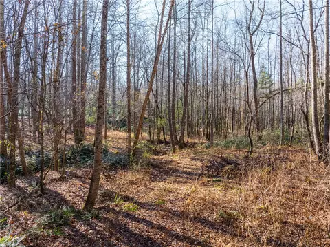 0 Howe Rd, Greer, SC 29651 photo 7