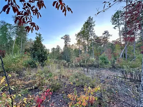 Rock Crusher Road, Walhalla, SC 29691 photo 3