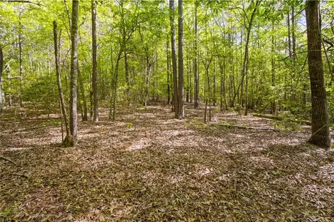 271 Chapman Grove Rd, Pelzer, SC 29669 photo 4