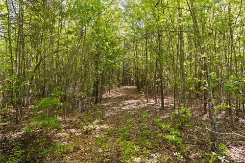 271 Chapman Grove Rd, Pelzer, SC 29669 photo 11