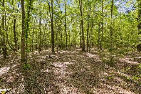 271 Chapman Grove Rd, Pelzer, SC 29669 photo 14